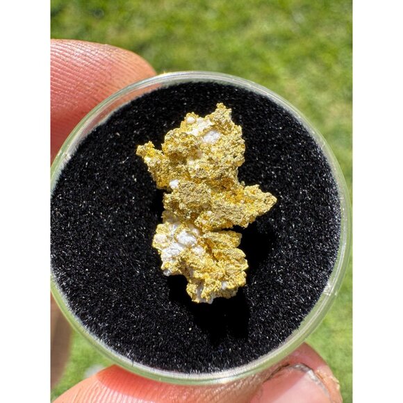 California Native Gold Crystal - 1.86 grams - Picture 7 of 7